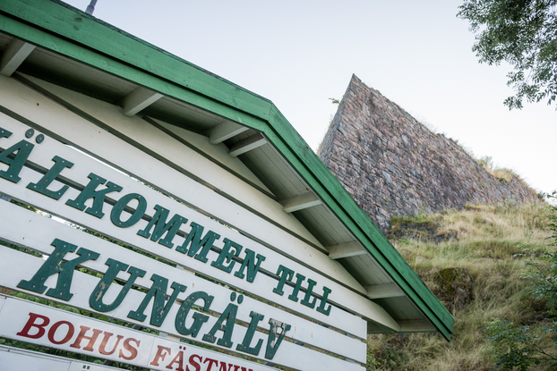 150710_fyrberg_2344